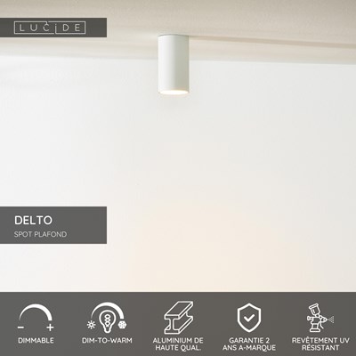 Lucide DELTO - Spot plafond - Ø 5,5 cm - LED Dim to warm - GU10 - 1x5W 2200K/3000K - Blanc
